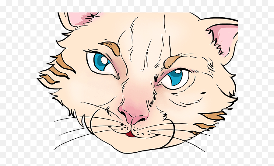 How To Draw Cat Eyes - Really Easy Drawing Tutorial Cat Yawns Emoji,Cat Eyes Emoji