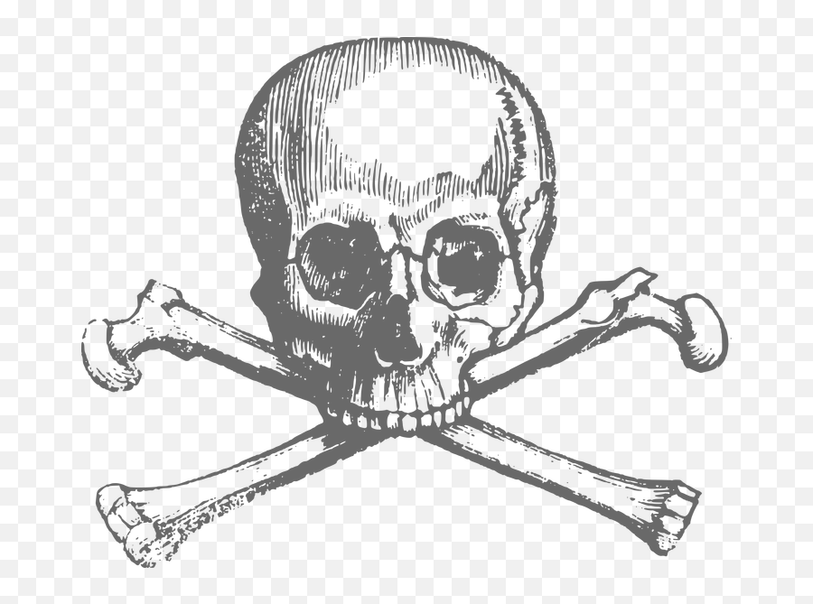 Blackbeard Drawing Sleeve - Skull And Crossbones Free Skull And Crossbones Emoji,Skull And Crossbones Emoji