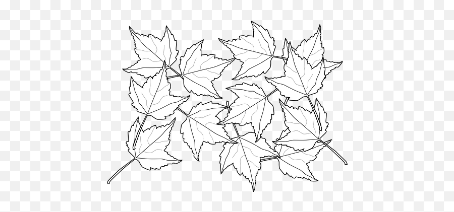 100 Free Greenery U0026 Nature Illustrations - Pixabay Dessin Coloriage Adulte Nature À Imprimer Emoji,Maple Leaf Emoji
