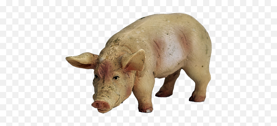 Pig Public Domain Image Search - Freeimg All Animals Name Emoji,Guinea Pig Emoji