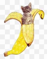 Banana Trending Gifs Page 2 - Kitten Glitter Emoji,Dancing Banana Emoji