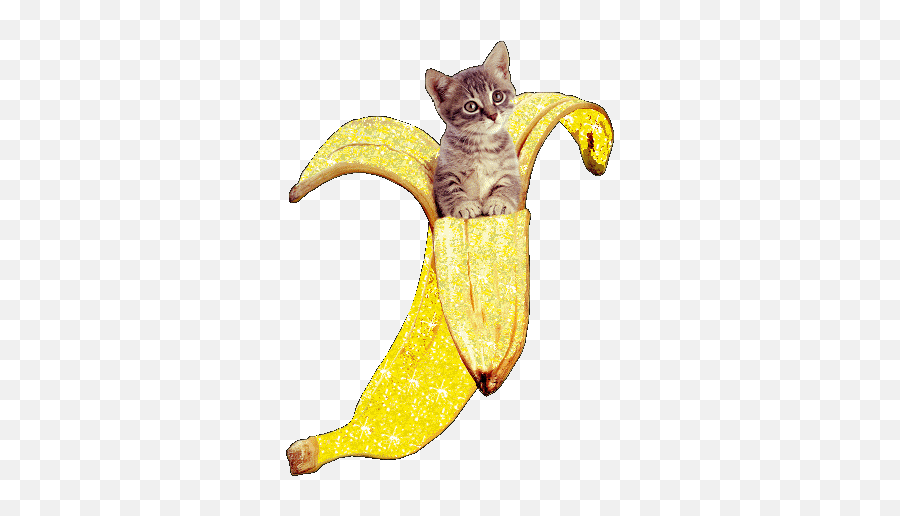 Banana Trending Gifs Page 2 - Kitten Glitter Emoji,Dancing Banana Emoji