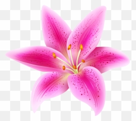 Black And White Flower Emoji Wwwtopsimagescom