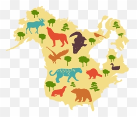 Transparent Png Svg Vector - America Do Norte Emoji