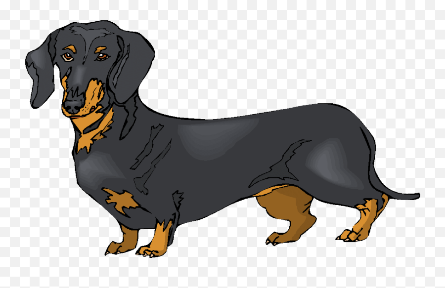 Weiner Dog Dachshund Dog Clipart - Miniature Fat Dachshund Dog Emoji,Weiner Emoji