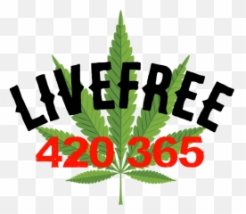 Stoner Png Hd u0026 Free Hdpng Transparent Images 58822 - Illustration Emoji