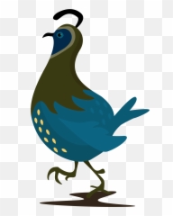 Quail Cartoon Png Transparent - Clipart Emoji