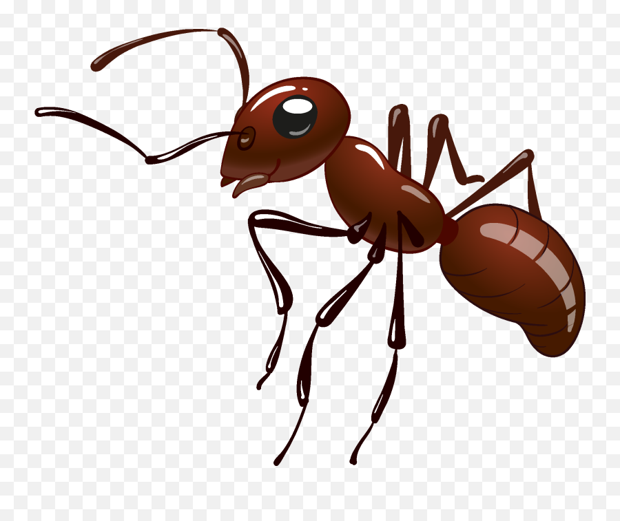 Insects Clipart - Fire Ant Emoji,Zzz Ant Ladybug Ant Emoji