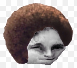 Derppaross - Discord Emotes Png Emoji