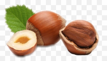 And Trending Hazelnut Stickers - Lieskové Orechy Emoji,Hazelnut Emoji
