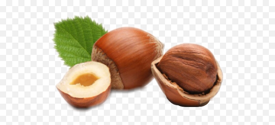 And Trending Hazelnut Stickers - Lieskové Orechy Emoji,Hazelnut Emoji