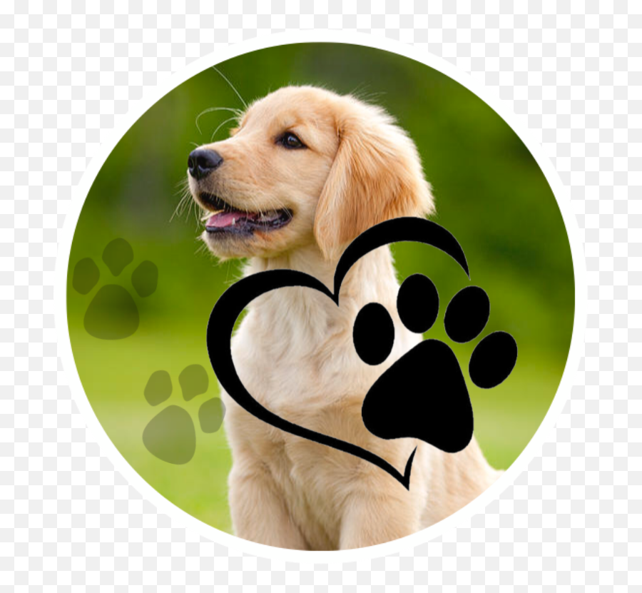 Golden Retriever Stickers - Heart Paw Print Png Emoji,Golden Retriever Emoji