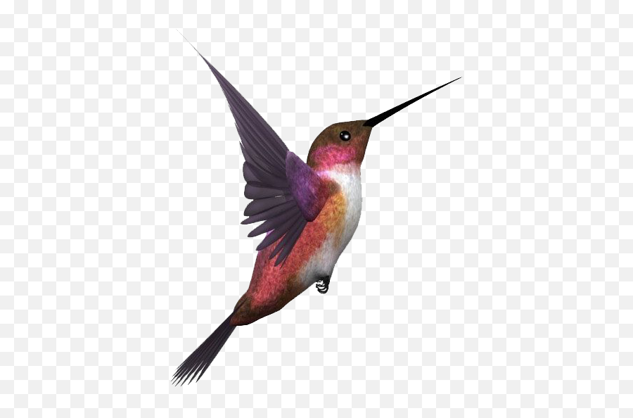 To - Kingfisher Bird Png Emoji,Hummingbird Emoji