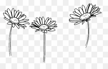 Amazing Flower Tumblr Castrophotos - Aesthetic Drawing Png Emoji