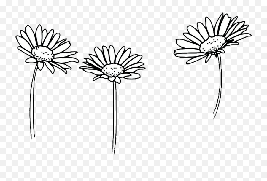 Amazing Flower Tumblr Castrophotos - Aesthetic Drawing Flower Png Emoji,Flower Emoji Tumblr