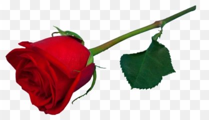 Top Flower Subscription Stickers For Android Ios - Flower Gif Stickers Emoji,Wilted Rose Emoji