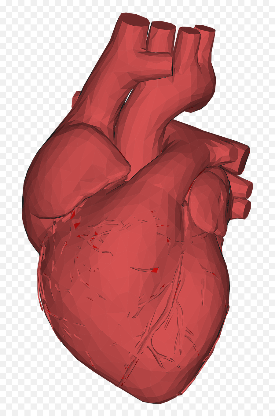 The Heart Of The Matter - Human Heart 3d Png Emoji,Huge Heart Emoji