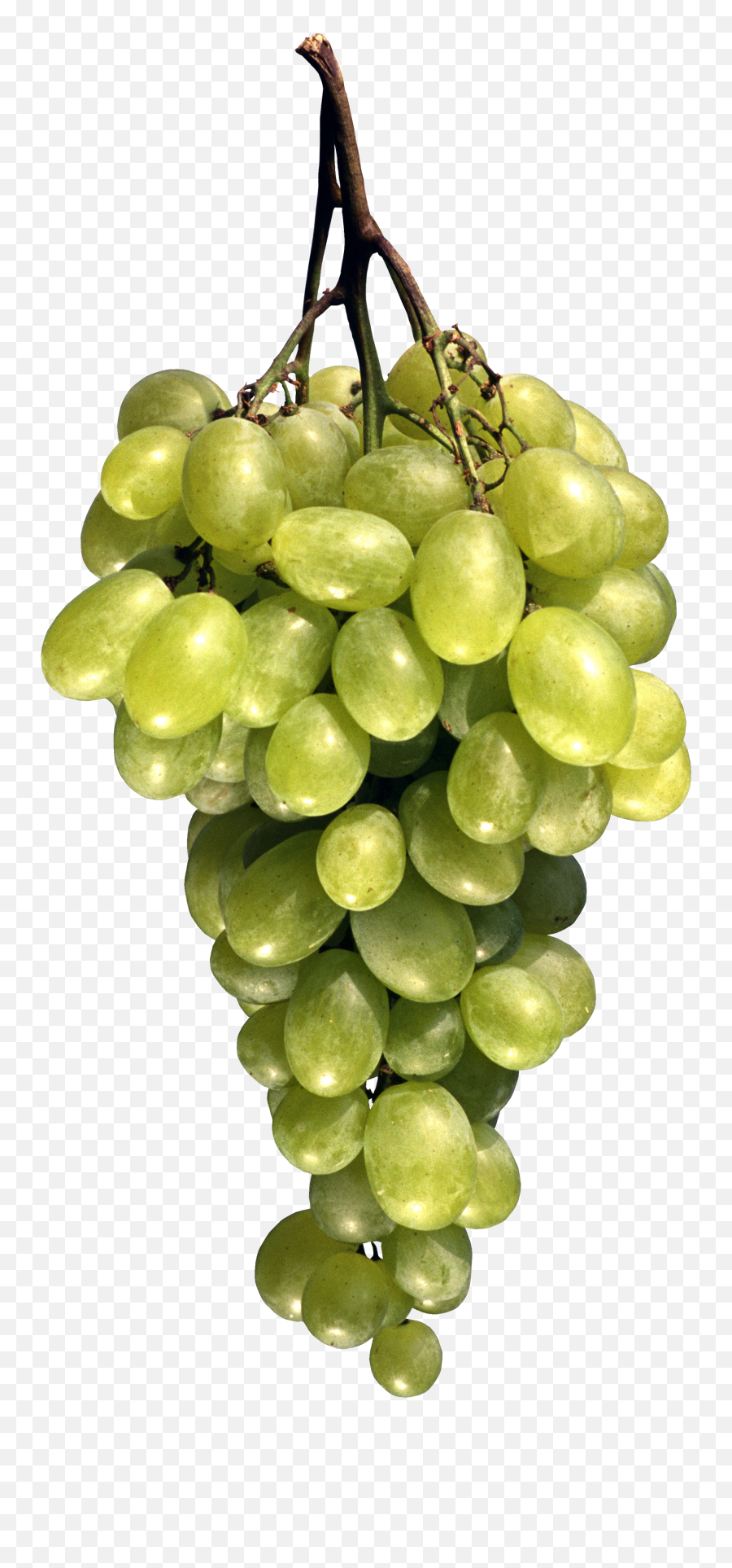 Green Grapes - Fruit Images Download Emoji,Grape Emoji