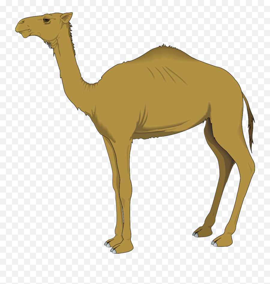 Camel Png Svg Clip Art For Web - Download Clip Art Png Camel Clipart Emoji,Camel Emoji