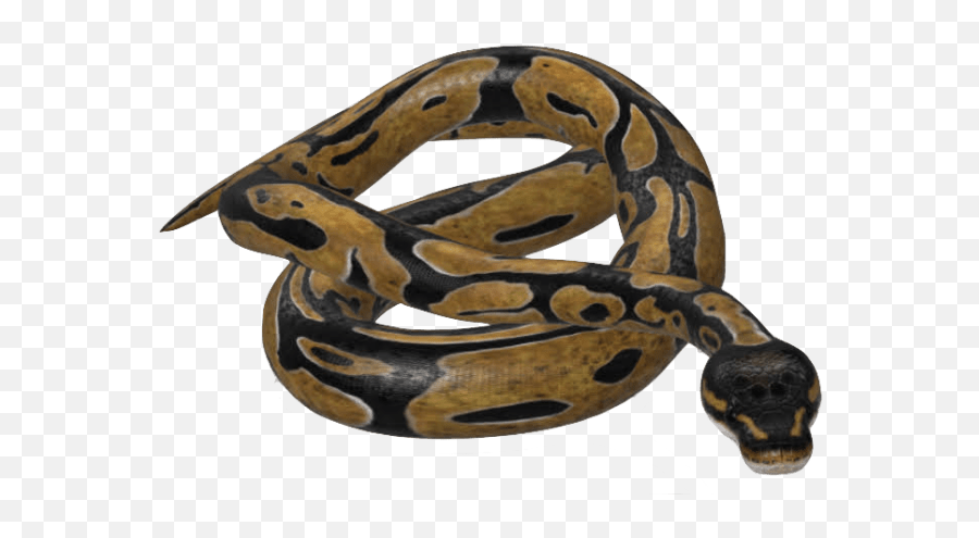 Kumar Janglu We Believe In Technology - Snake 3d View Google Emoji,Oriole Emoji