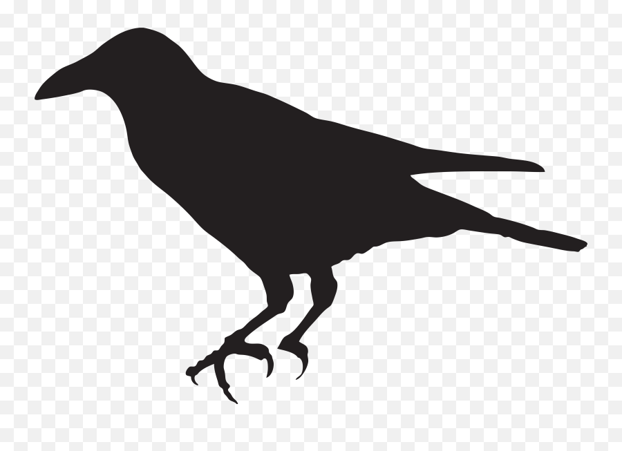 Crow Clipart Png - Crow Clipart Png Emoji,Crow Emoji
