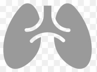 Transparent Lung Background - Pulmonary Arterial Hypertension Icon Emoji
