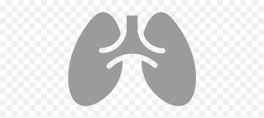 Transparent Lung Background - Pulmonary Arterial Hypertension Icon Emoji,Lung Emoji