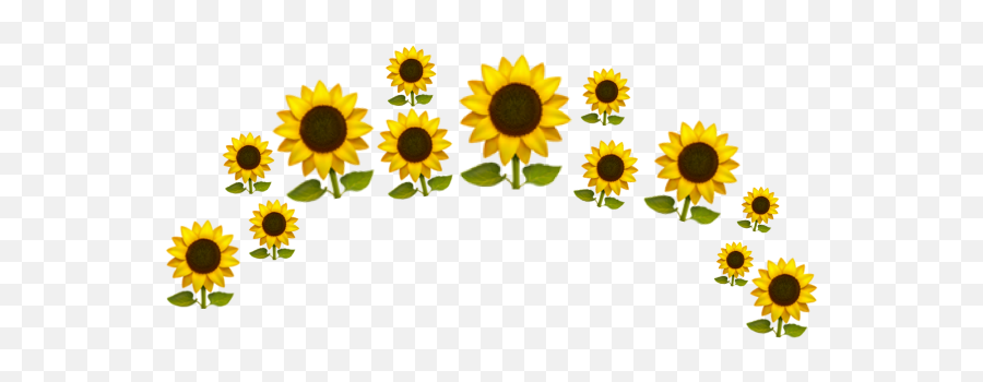 Sunflowersunfloweryellowgreenemojicrown - Susan Emoji,Sun Flower Emoji