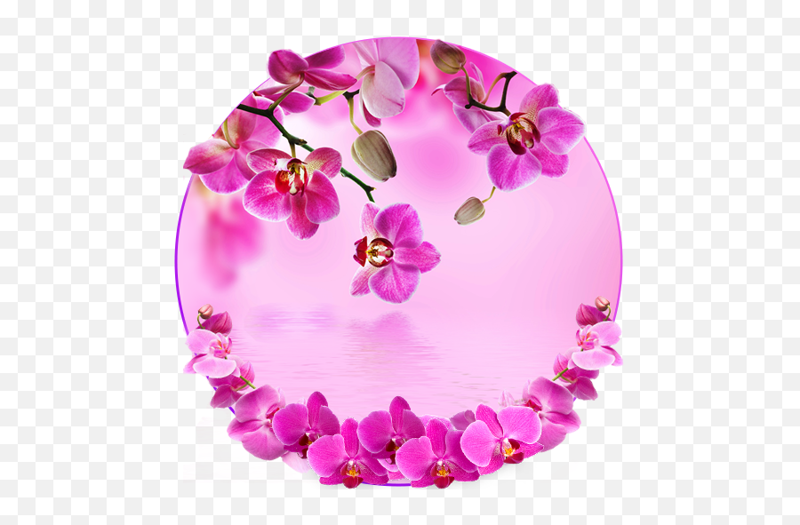 Orchid Spring Flowers Theme - Apps On Google Play Blue Orchids In Nature Emoji,Flag Honey Plant Emoji