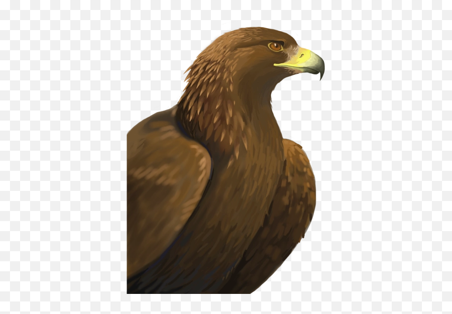 Background Png And Vectors For Free Download - Dlpngcom Golden Eagle Png Png Emoji,Eagle Emoji Iphone