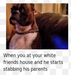 When You at Your White Friends House and He Starts Stabbing - His Parents Emoji