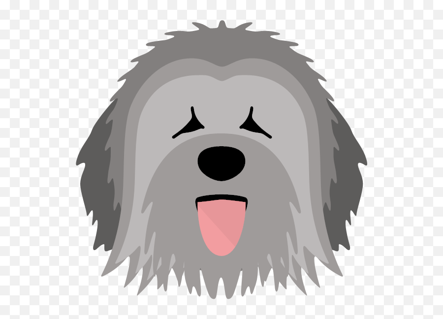 Personalized Briard Leads Leashes U0026 Collars Yappycom - Old English Sheepdog Emoji,Schnauzer Emoji