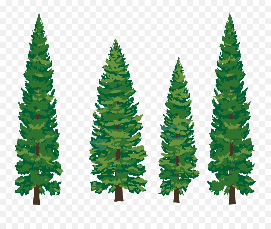 Pine Tree Clipart Free Clipart Images 4 - Cartoon Pine Tree Png Emoji,Pine Tree Emoji