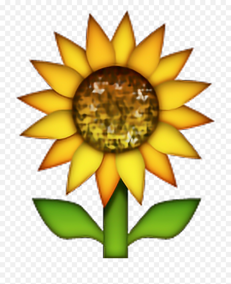 Sunflower Emoji Flowers Freetoedit - Sunflower Vs Skull Emoji,Flower Emoji Background
