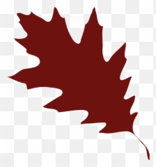 10 Leaf Clipart Free Clip Art Stock Illustrations - Clip Brown Oak Leaf Clip Art Emoji,Maple Leaf Emoji