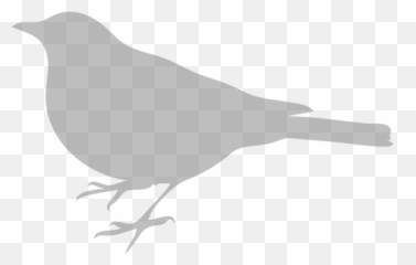 Free Gray Birds Bird Illustrations - Silhouette Bird Svg Free Emoji,Raven Bird Emoji