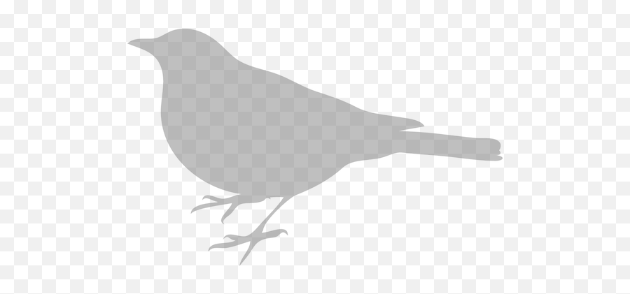 Free Gray Birds Bird Illustrations - Silhouette Bird Svg Free Emoji,Raven Bird Emoji