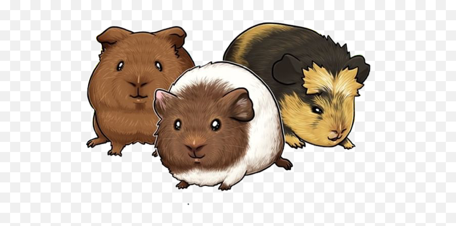 Guinea - Hamster Emoji,Guinea Pig Emoji