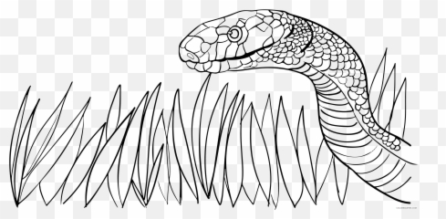 Black And White Snake Coloring Pages - Snake In Grass Outline Emoji,Snake Boot Emoji