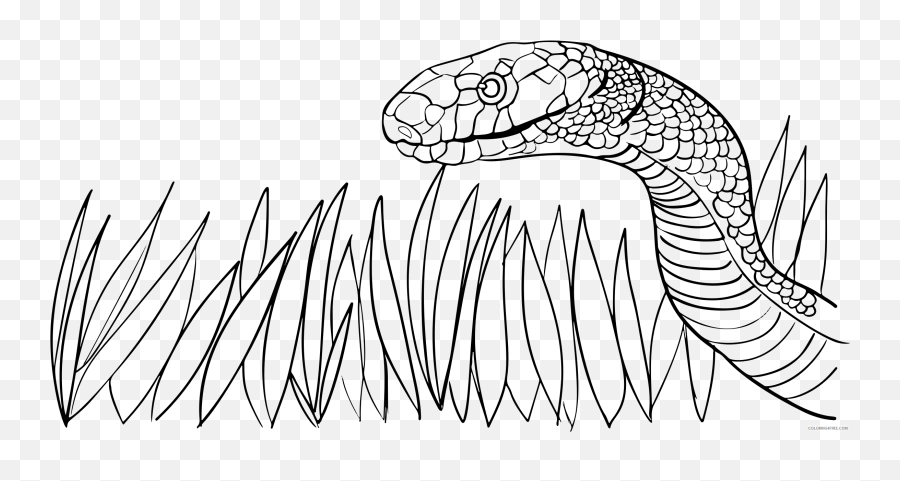 Black And White Snake Coloring Pages - Snake In Grass Outline Emoji,Snake Boot Emoji