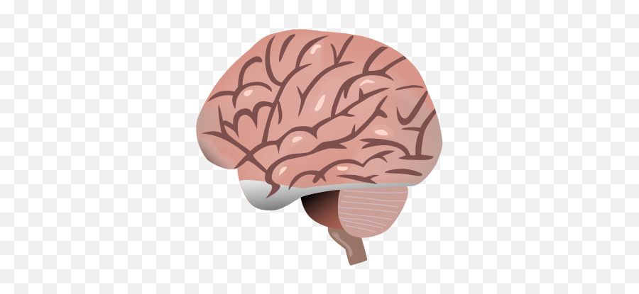 201704 Brain - Illustration Emoji,Nut Emoji