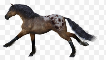 Horses - Horse Gif Transparent Background Emoji,Horse Emoticons