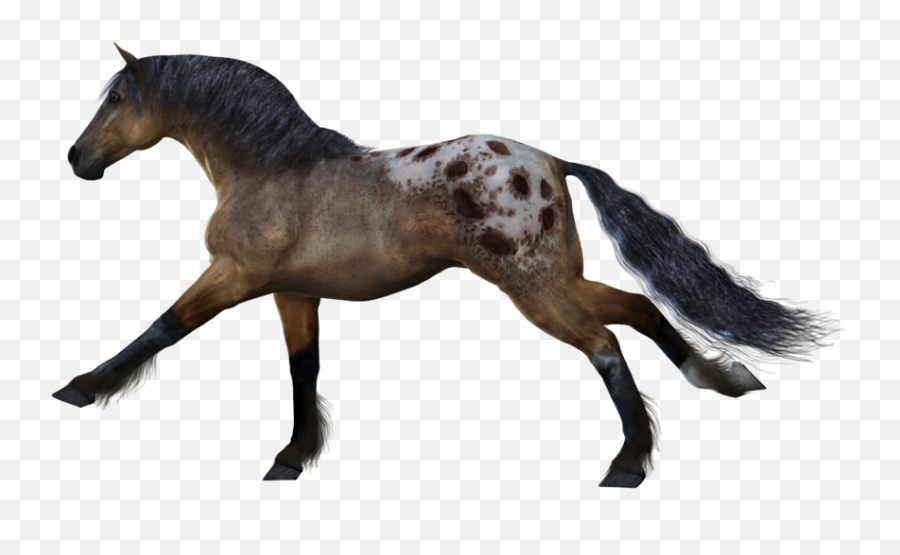 Horses - Horse Gif Transparent Background Emoji,Horse Emoticons