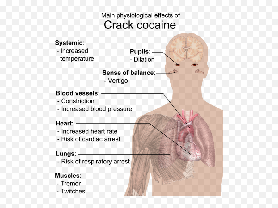Physiological Effects Of Crack Cocaine - Crack Cocaine Effects On The Body Emoji,Chin Scratch Emoji