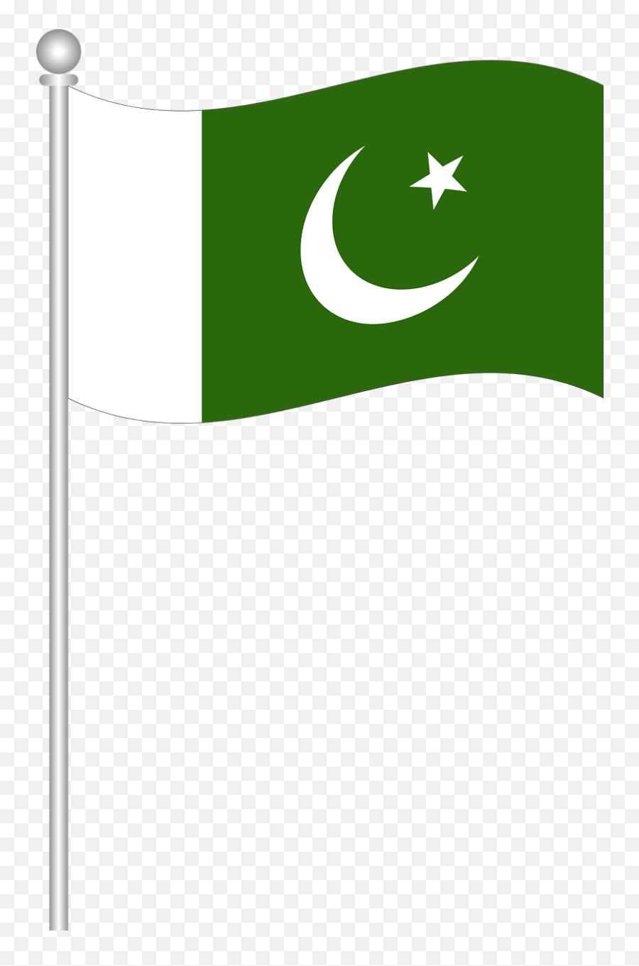 Library Of Pakistan Flag Png Black And - Pakistan Flag Vector Png Emoji,Pakistan Flag Emoji