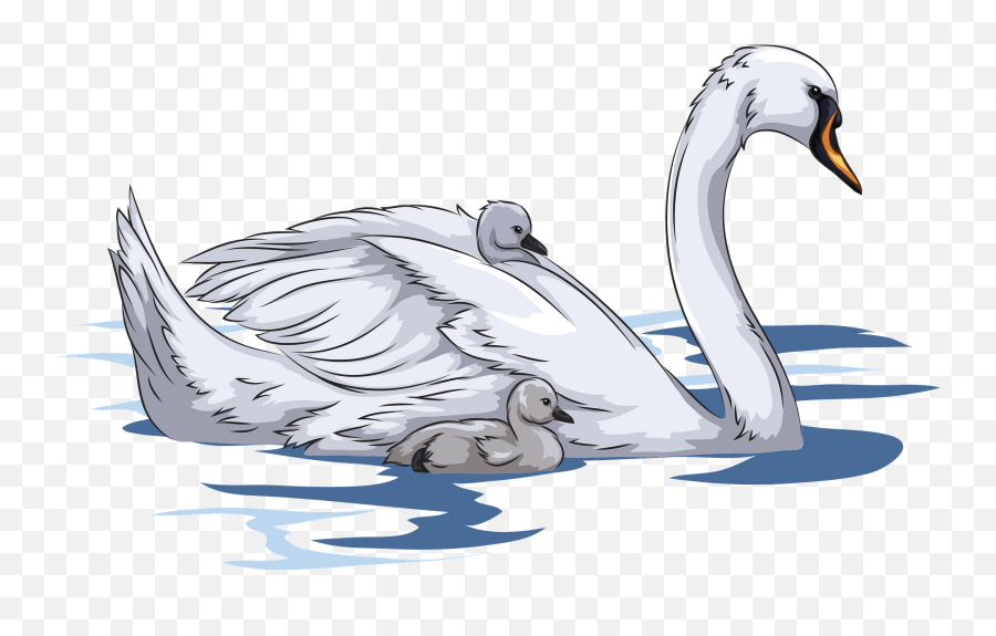 Mute Swan With Cygnets Clipart - Swan And Cygnet Clipart Emoji,Swan Emoji