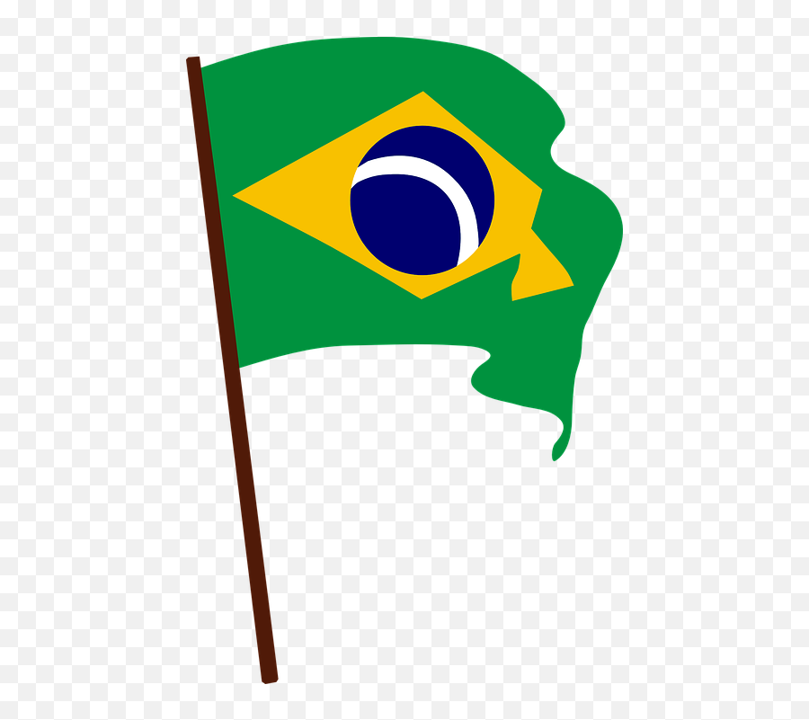 Free Poles Penguin Vectors - Brazil Flag Png Emoji,Flag Horse Dance Music Emoji