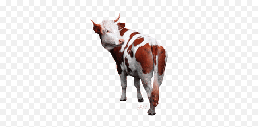 Top Goat Horn Stickers For Android Ios - Cow Gif Png Animated Emoji,Goat Emoji