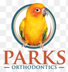 Parks Orthodontics - Darksiders Ii Emoji