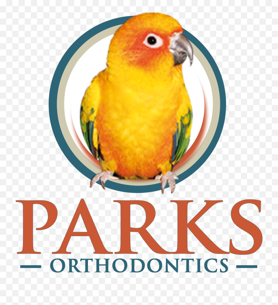 Parks Orthodontics - Darksiders Ii Emoji,Parakeet Emoji